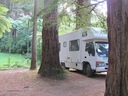 Lucy's Gully - Camping under the trees.