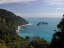 Just past Haast as the road meets the Westcoast