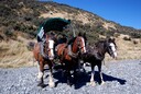 Wagon ride