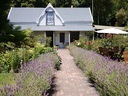 One of many Cafes in Akaroa