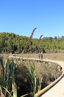 Wetland boardwalk