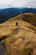 The Tablelands