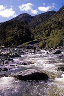 The Orongorongo River