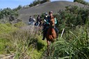 Muriwai Beach Horse Treks Ltd