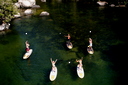 "The Lagoons", guided SUP tour at Bark Bay 