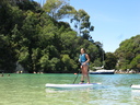 SUP Kaiteriteri Beach 