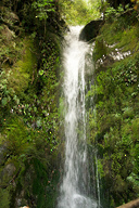 Glow Worm Waterfall