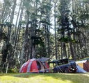 POWERED CAMPSITES