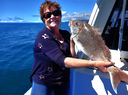 Snapper from Golden Bay