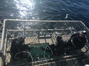 Divers preparing to dive