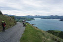 Looking Back Akaroa Harbour From Heads