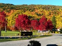 autumn colours around the hills of Arrowtown