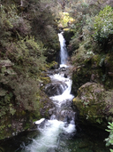 Avalanche Creek