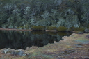 Alpine tarn