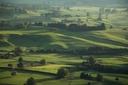 Waikato farmland