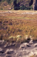 Dunes near Whatipu