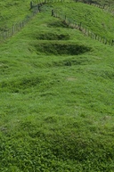 Kumara pits