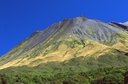 Fantham's Peak from Hastings Hill Track