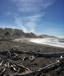 On the beach, looking north