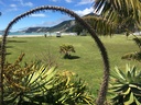 Tokomaru Bay