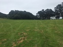 Huge grassy area