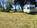 Grassy areas beside the beach