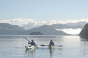 Another stunning kayaking day in the Marlborough Sounds!