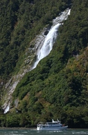 Cruising on Milford Sound