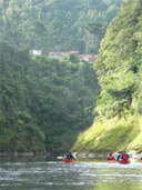 Enjoy a scenic paddle on the Whanganui River.