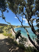 Looking down on Urupukapuka Campsite