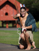 Maori Warrior