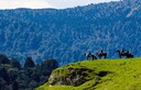 What a backdrop - the Ruahine Ranges