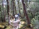 Walking Arthur's Pass National Park HikingGuys.co.nz