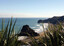 Piha Beach