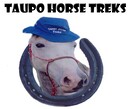 Taupo Horse Treks