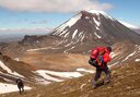 Mt Ngauruhoe in spring