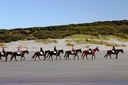 Horse trekkers on the beach