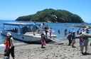 Boarding Boat just off the beach