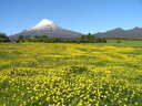 Mighty Mt Taranaki 