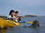 Seal Kayaking