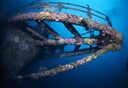 The Coral encrusted bow of the Rainbow Warrior.