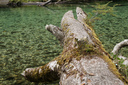 One of the clear rivers along the track