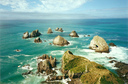 The "nuggets" at Nugget Point