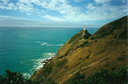 The walk out to the lighthouse at Nugget Point