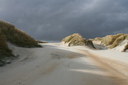 Looking inland from Sandfly Bay