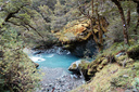 Along the Rob Roy Track