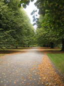 A walk in the park - Christchurch Botanic Gardens