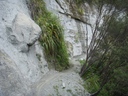 Steep Bluffs - Mangapurua Track