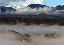 View of the Suburbs - Orongorongo Track