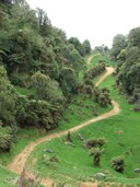 One of the many paths through the Reserve